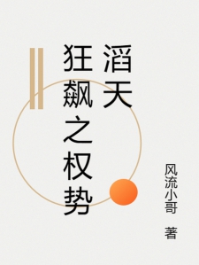 狂飙之权势滔天小说